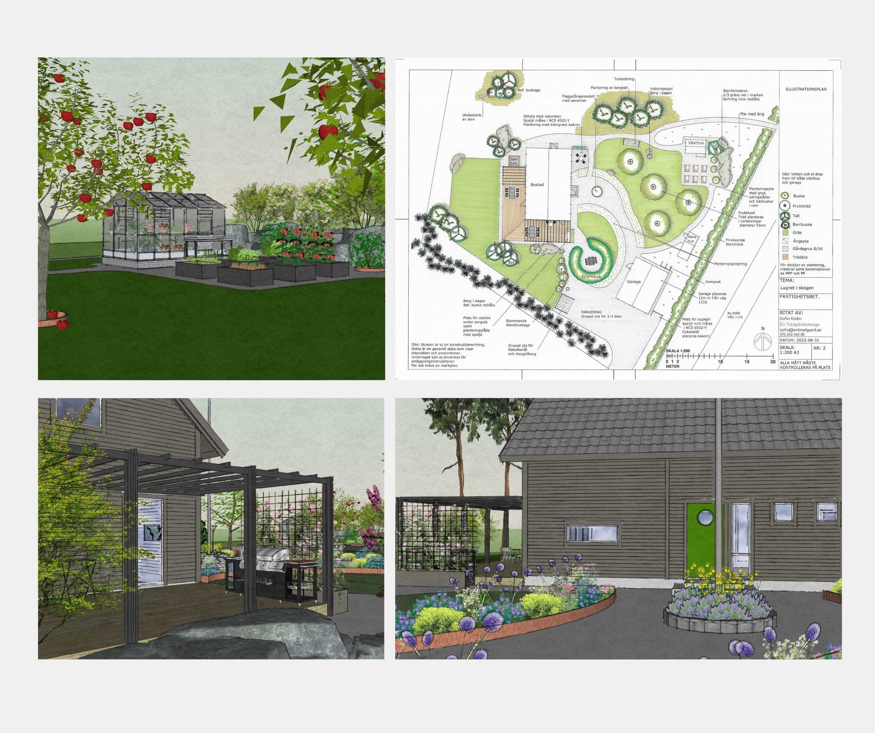 Trädgårdsdesign illustrationsplan 3D-vyer